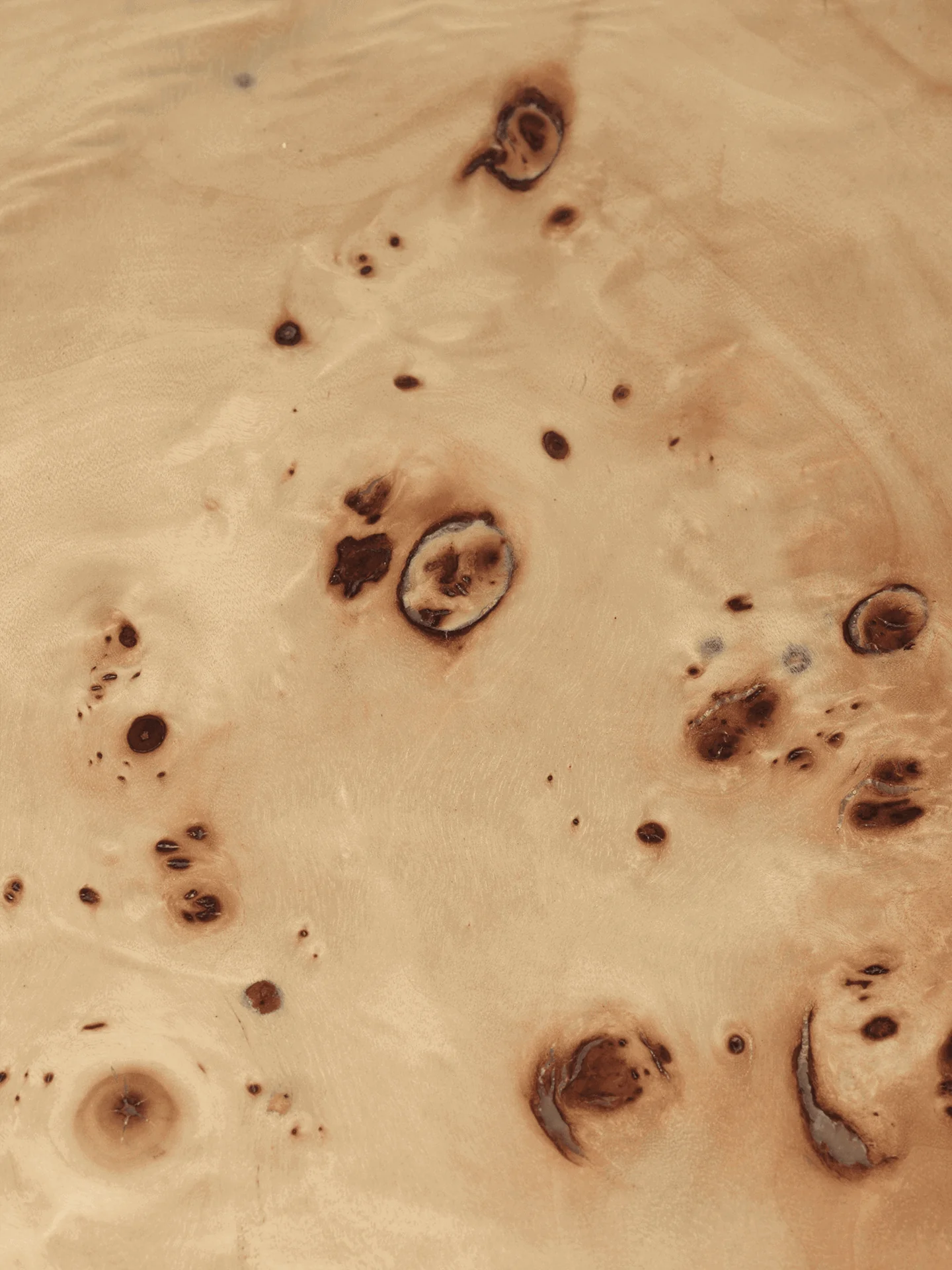 Burl Coffee Table - Natural - Image 4