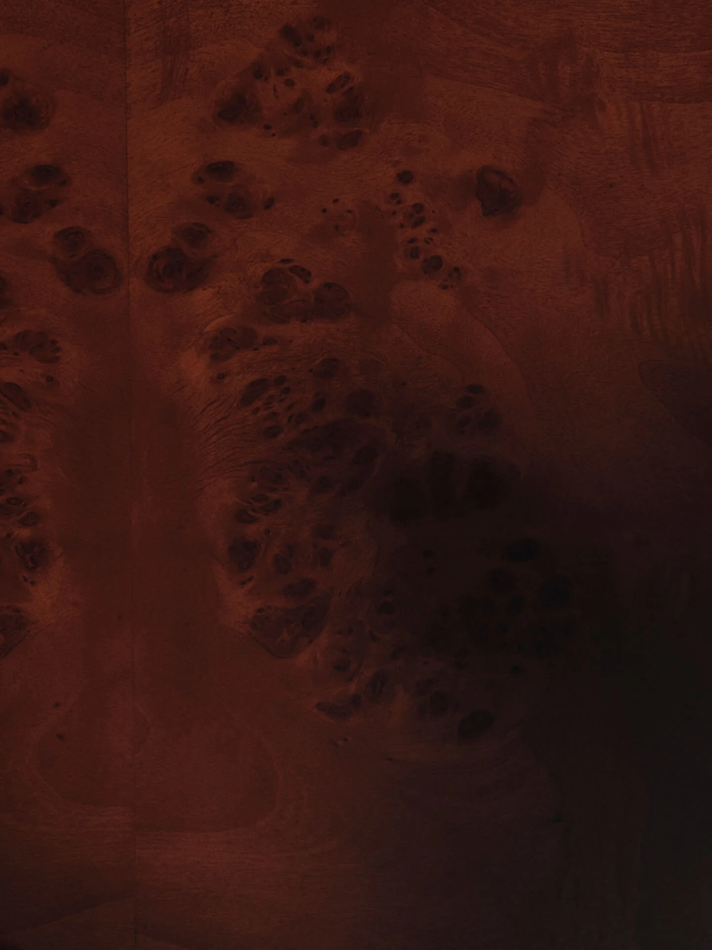 Burl Storage Coffee Table - Dark Stained Burl - Image 7