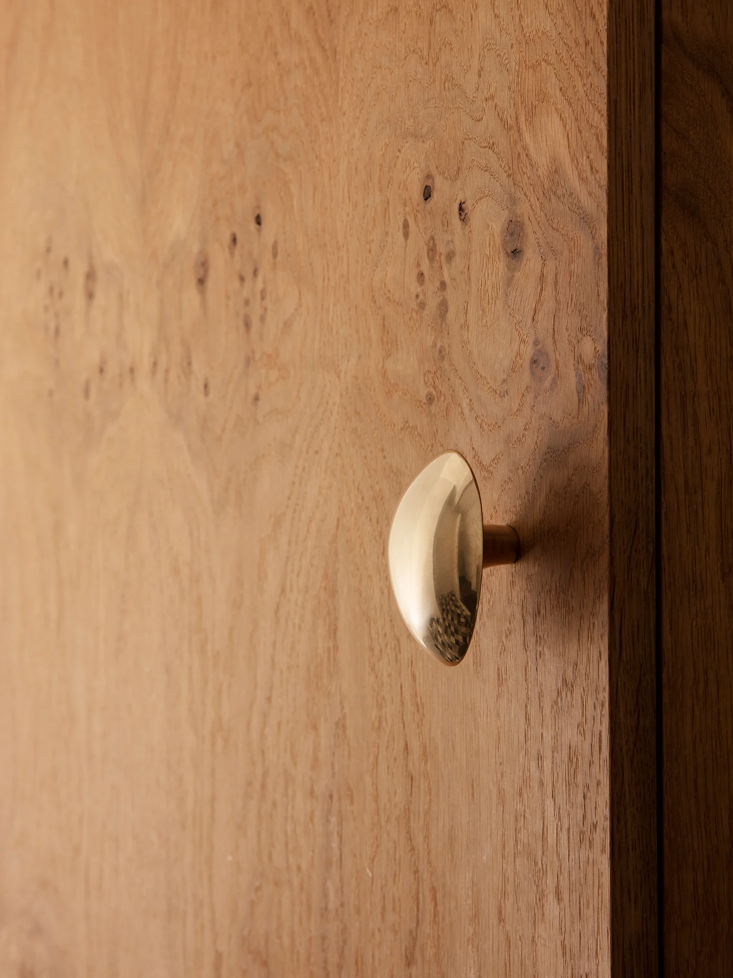 Chanterelle Hook - Brass - Image 2