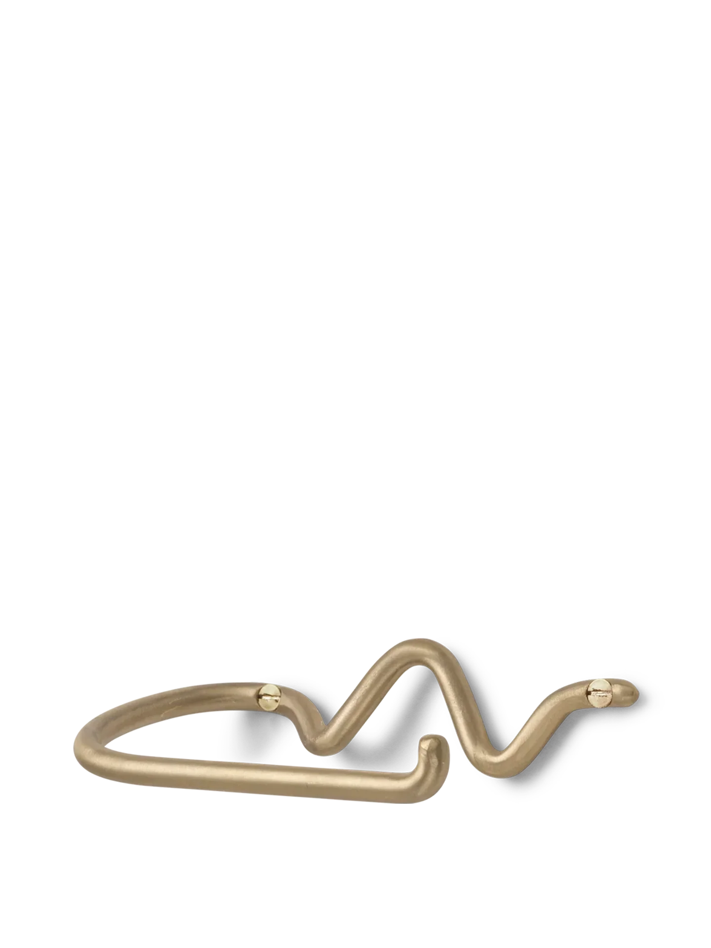 Curvature Toilet Paper Holder - Brass