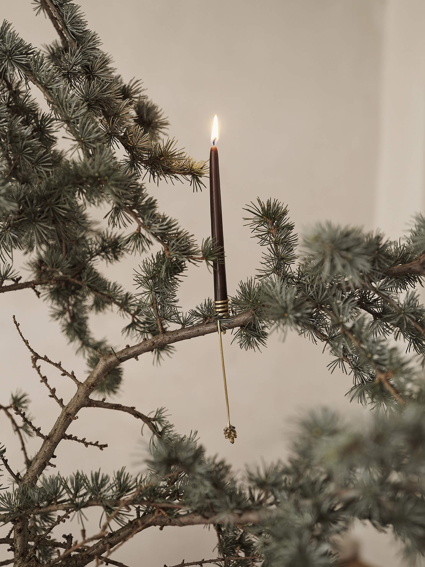 Dipped Candles - Set of 8 - Brown - Image 2