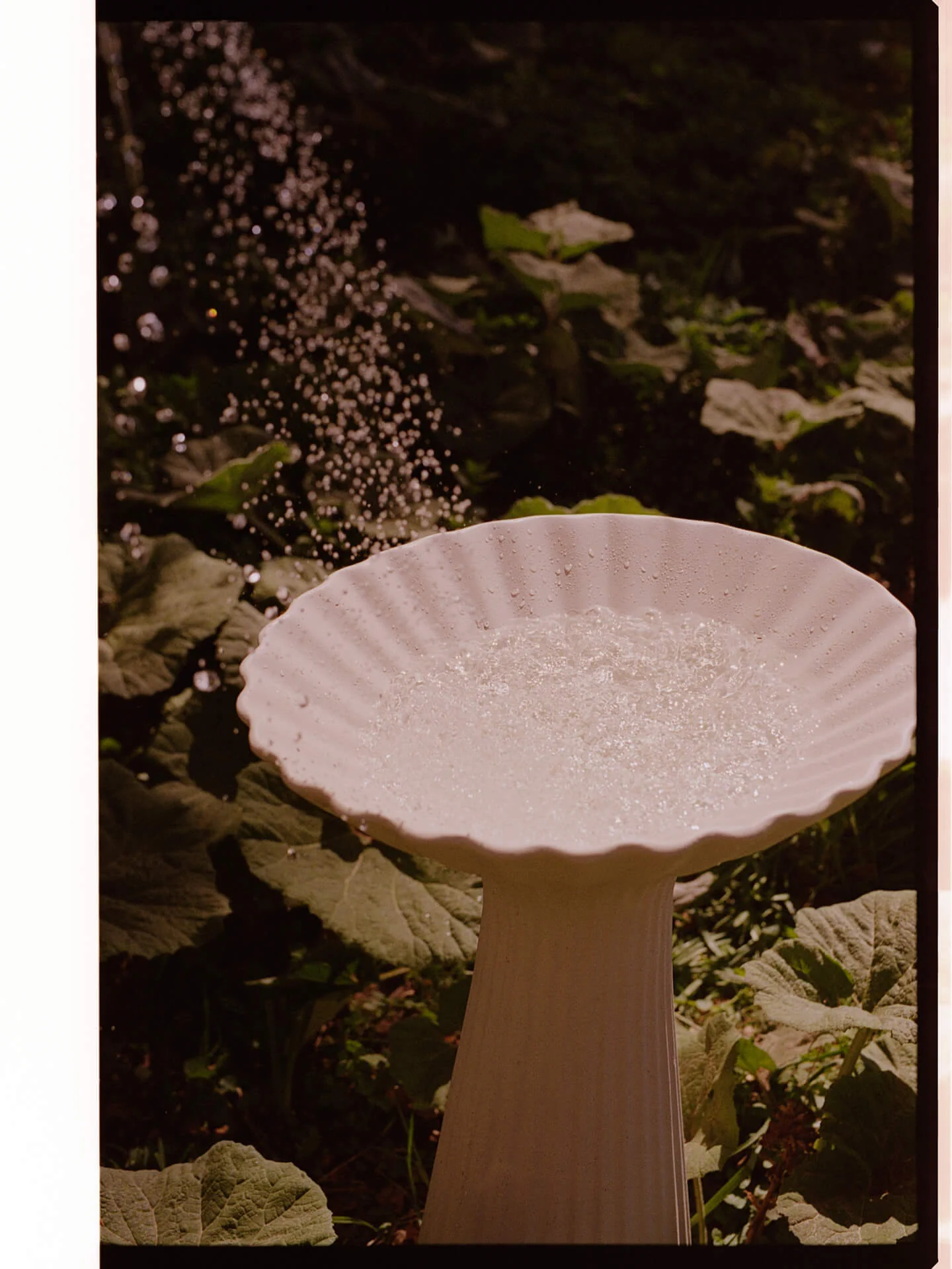 Fountain Pedestal Bowl - Ivory - Image 3