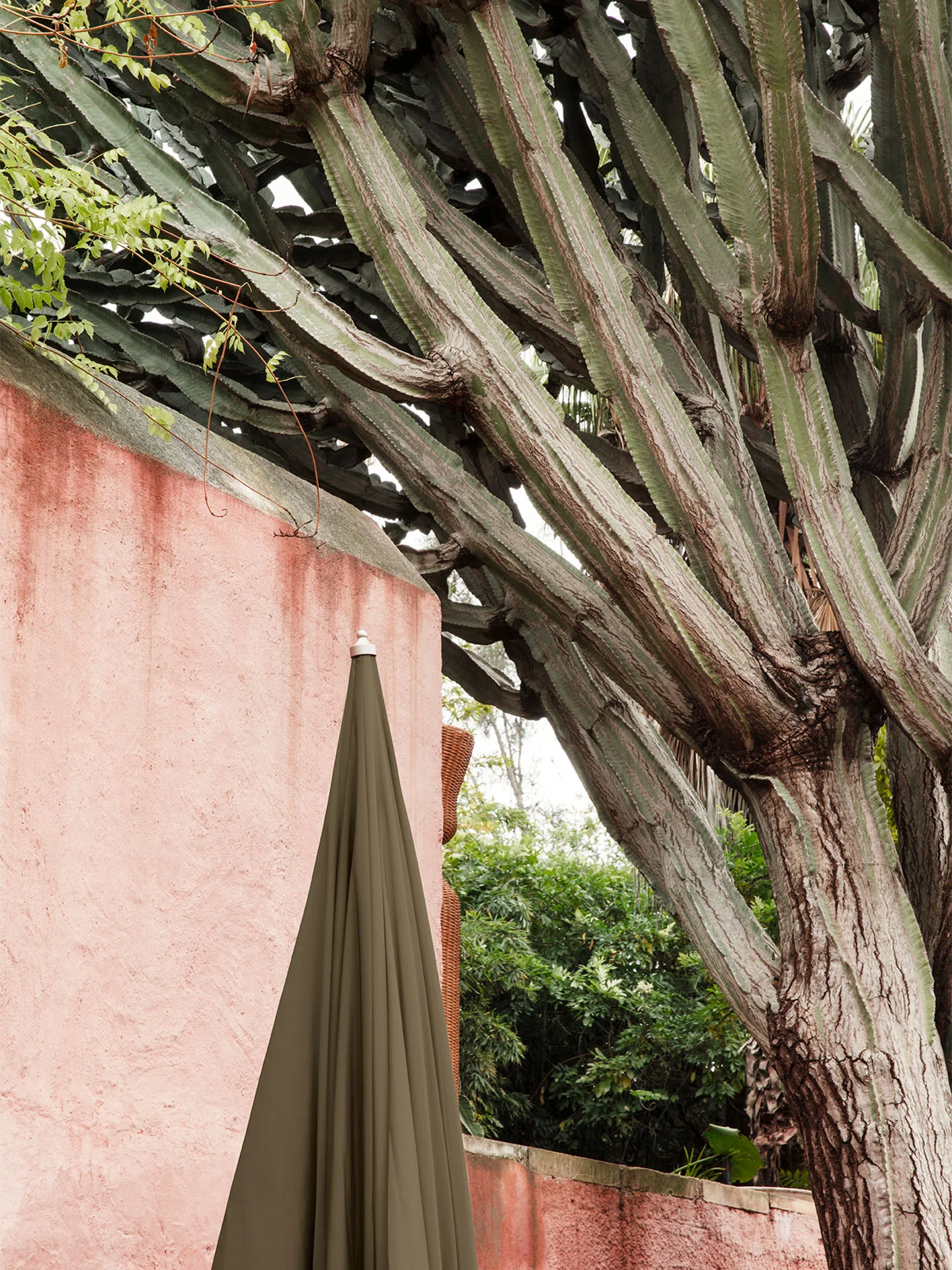 Lull Umbrella - Military Olive - Image 3
