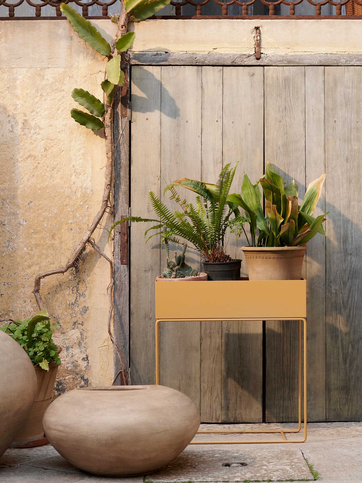 Plant Box - Straw - Image 2
