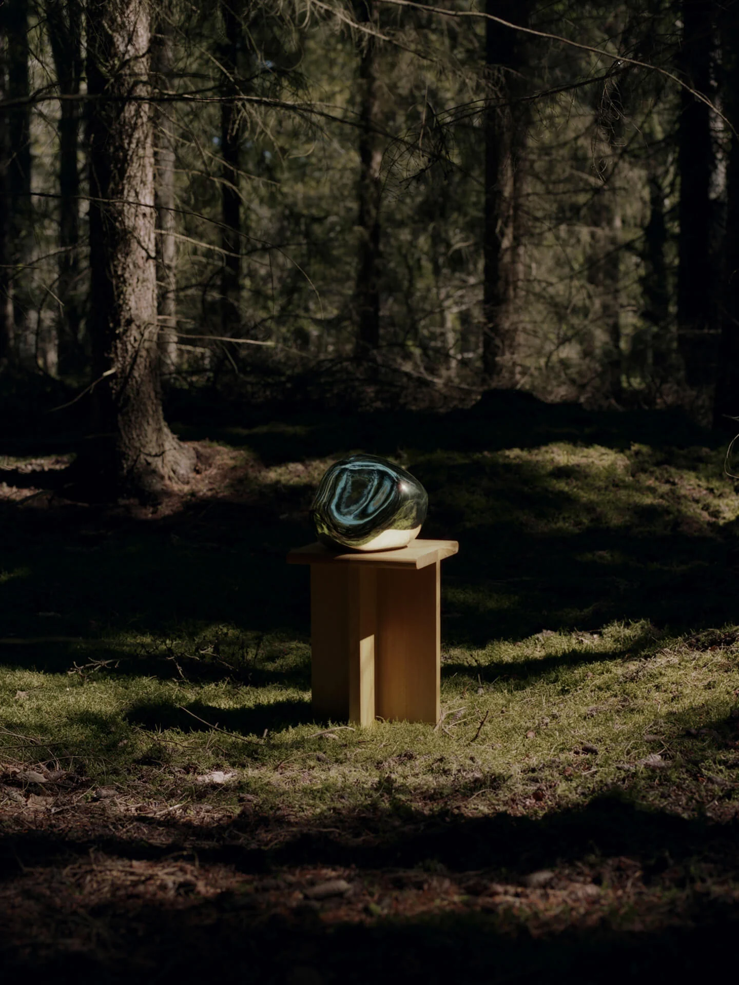 Sala Piece - Douglas Fir - Image 5