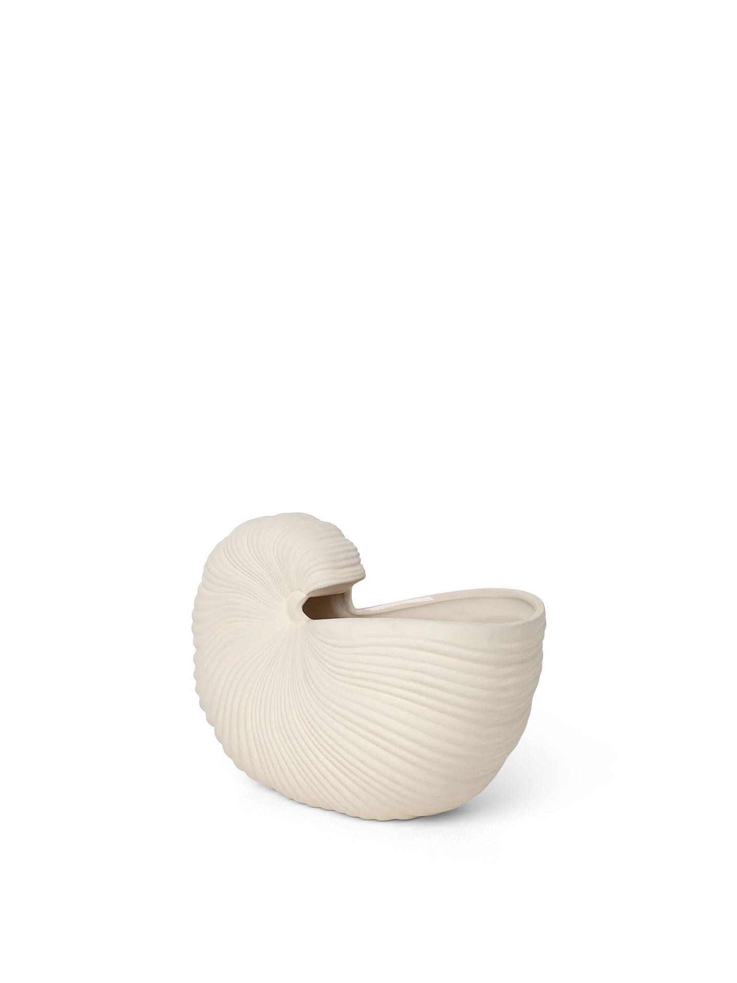 Shell Pot - Off-White - Image 3