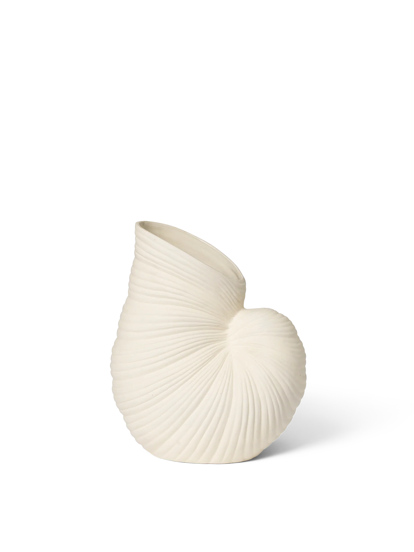 Shell Vase - Off-White