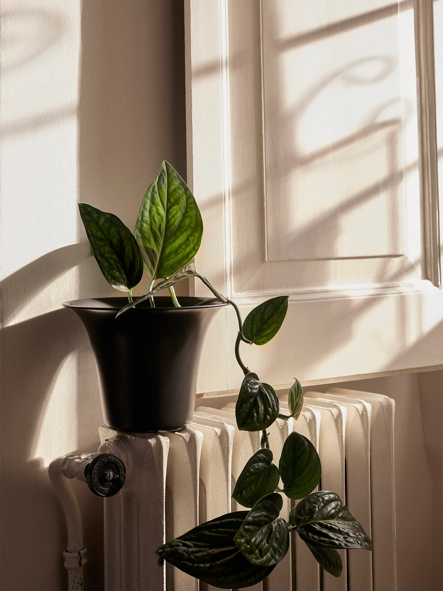Spun Alu Pot - Blackened Aluminium - Image 2